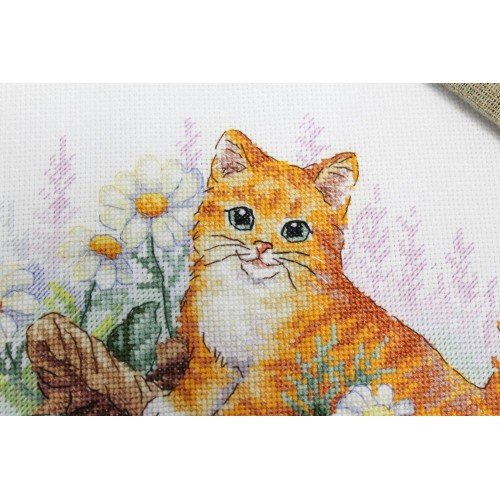 MP Studia - Red cat gardener