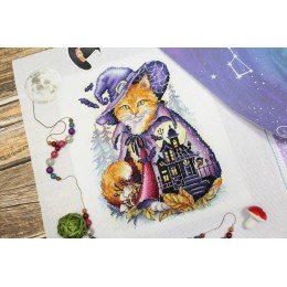 MP Studia - Mysterious place