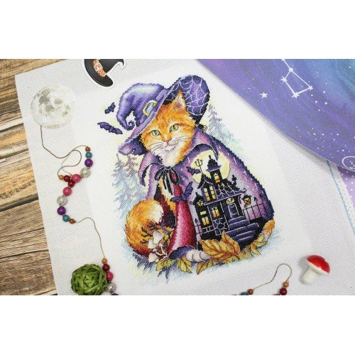 MP Studia - Mysterious place