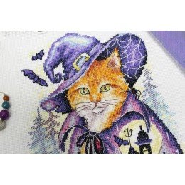 MP Studia - Mysterious place