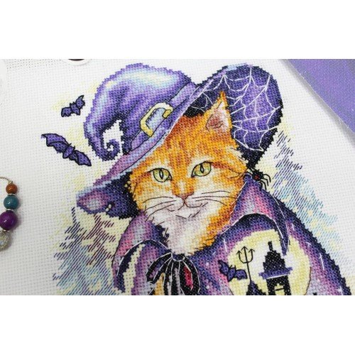 MP Studia - Mysterious place