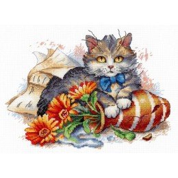 MP Studia - Fluffy fidget