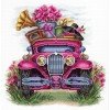 MP Studia - Ladies' voyage
