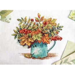 MP Studia - Scarlet bunches of rowan