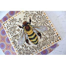 MP Studia - En el campo de las margaritas