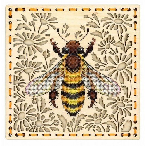 MP Studia - In the field of daisies
