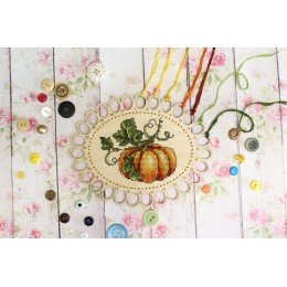 MP Studia - Calabaza. Organizador