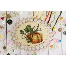 MP Studia - Calabaza. Organizador