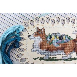 MP Studia - Organizador "Corgi