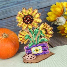 MP Studia - Girasoles en una caja