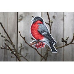 MP Studia - Mensajero de invierno