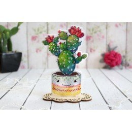 MP Studia - Amigo espinoso