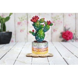 MP Studia - Amigo espinoso