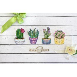 MP Studia - Cactus. Imanes