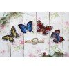 MP Studia - Bright butterflies