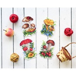 MP Studia - Cesta de setas