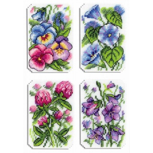 MP Studia - Sinfonía floral