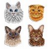 MP Studia - Cats. Magnets