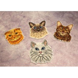 MP Studia - Gatos. Imanes