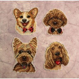 MP Studia - Perros Imanes