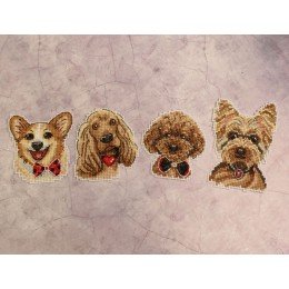 MP Studia - Perros Imanes