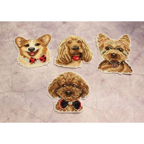 MP Studia - Perros Imanes