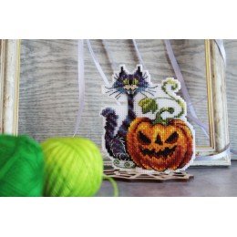 MP Studia - Gato negro