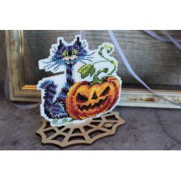 MP Studia - Gato negro