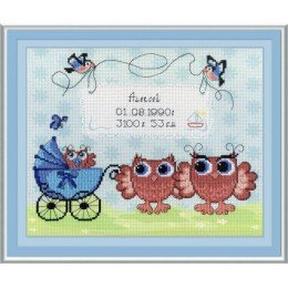 MP Studia - Birth sampler owlets