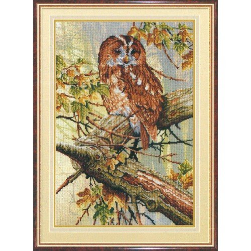 MP Studia - In forest lace