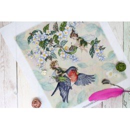 MP Studia - Elf fairytale