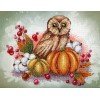 MP Studia - Owl on a pumpkin