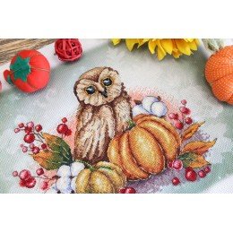 MP Studia - Owl on a pumpkin