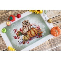 MP Studia - Owl on a pumpkin