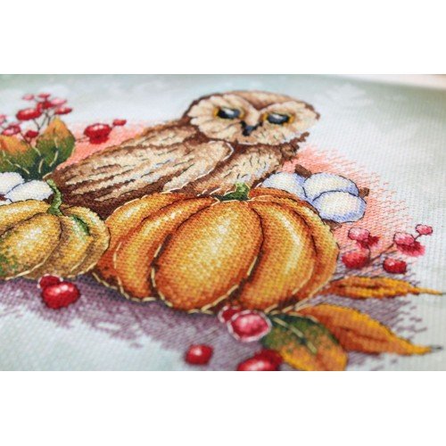 MP Studia - Owl on a pumpkin