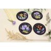 MP Studia - Forest stories. Badges. Magnets