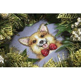 MP Studia - Ginger gentleman