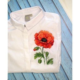 MP Studia - Red poppy