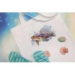 MP Studia - Under the water