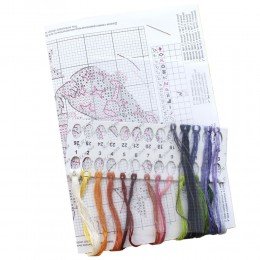 MP Studia - Fox-skateboarder