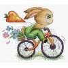 MP Studia - Conejito ciclista