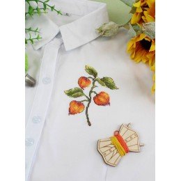 MP Studia - Physalis