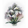 Oven - Snowdrops