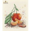 Oven - Tangerine