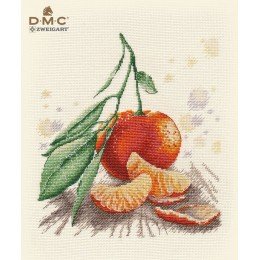 Oven - Tangerine