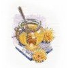 Oven - Spring honey