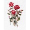 Oven - Rosas