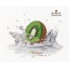 Oven - Kiwi