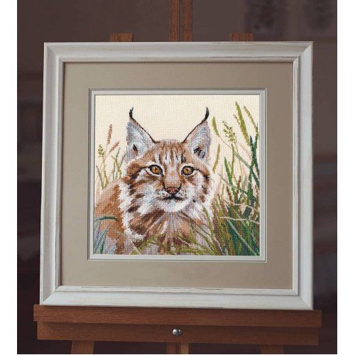 Oven - Lynx