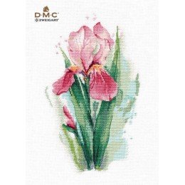 Oven - Pink iris